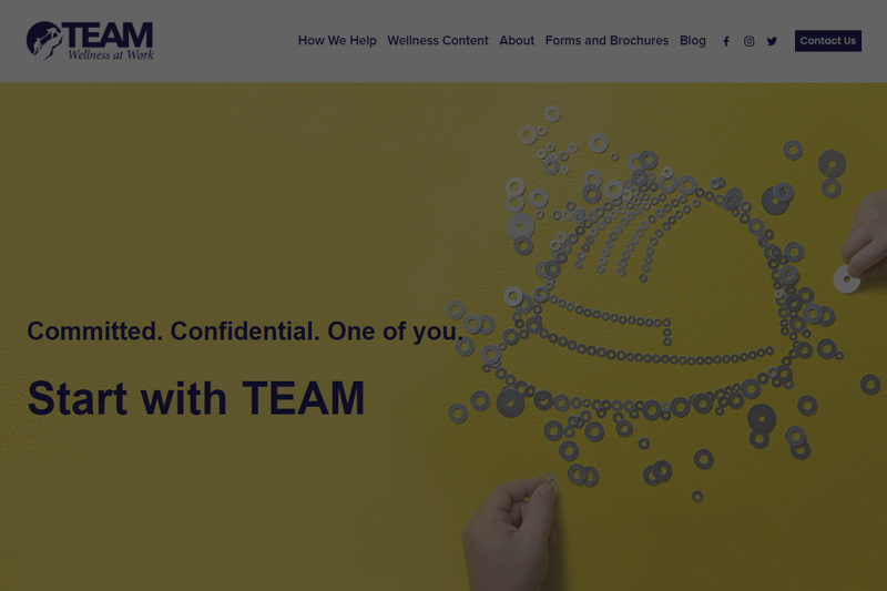 TEAM Website Link Image